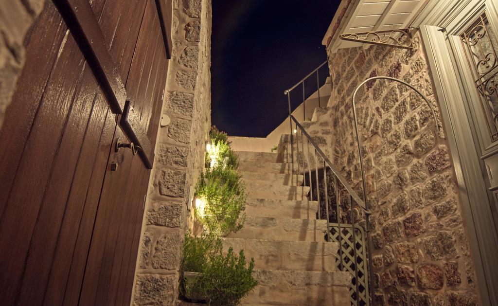 הידרה Paradiso מראה חיצוני תמונה